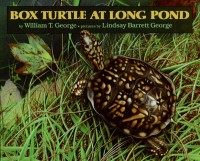 Box Turtle at Long Pond illustrated by Lindsay Barrett George