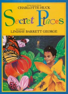Secret Places illustrated by Lindsay Barrett George